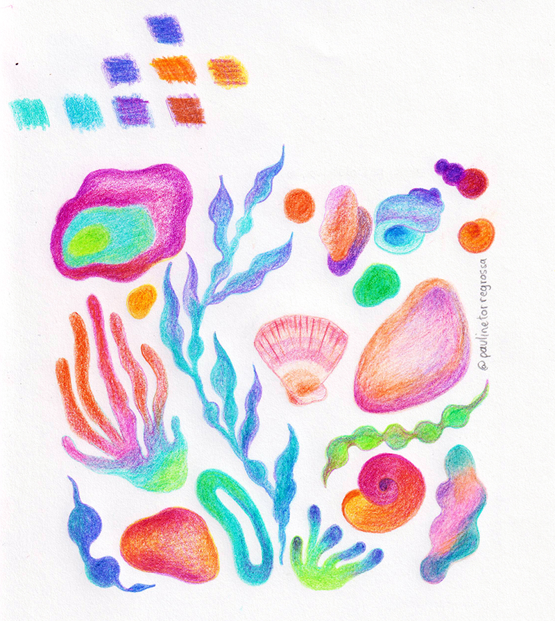 stage couleurs